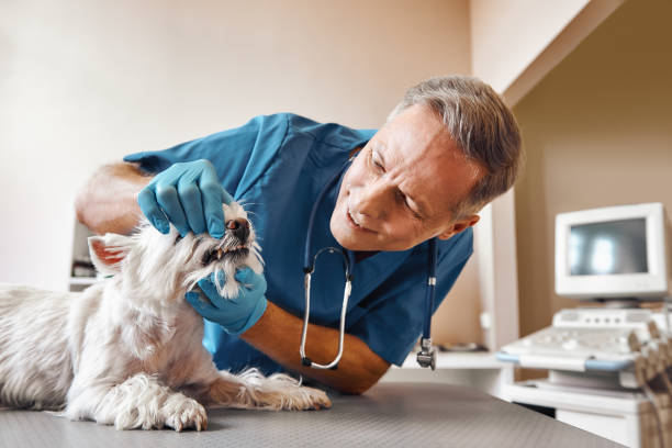 Russell, KY Emergency Dentist Pros